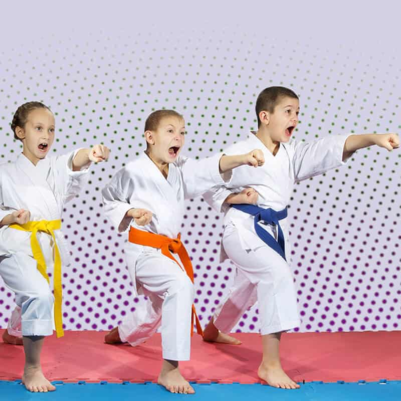 Martial Arts Lessons for Kids in Norwood NJ - Punching Focus Kids Sync